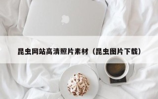 嘉善昆虫网站高清照片素材（昆虫图片下载）